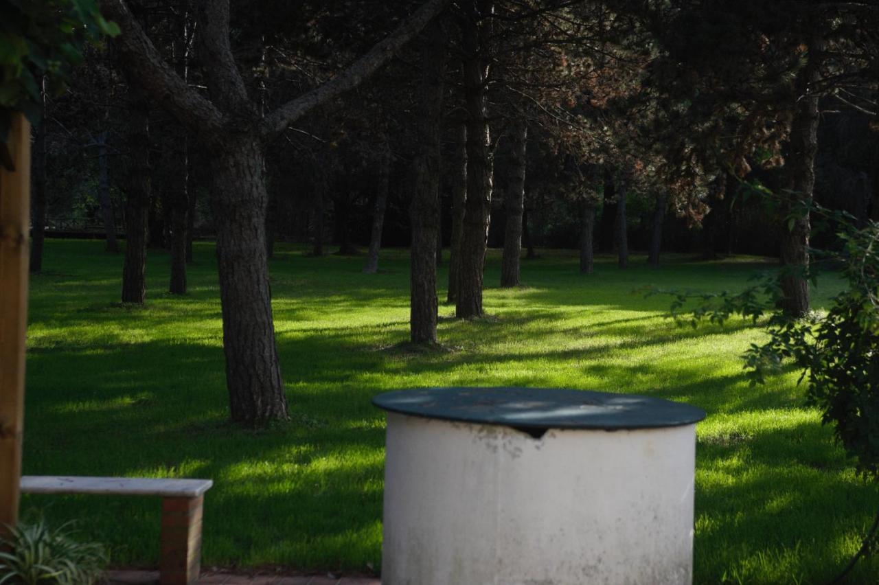 La Casa Sul Fiume Villa Sarzana Exterior foto